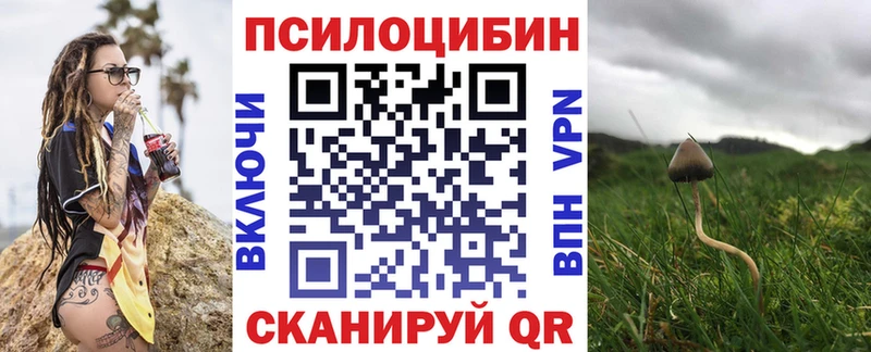 Псилоцибиновые грибы Psilocybe  Лянтор 